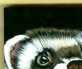 Паркетная доска с рисунком - модель 2