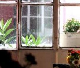 Пенопласт ппс 10 - модель 2