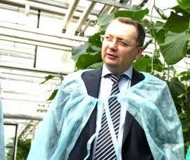 Пензенские теплицы - модель 2