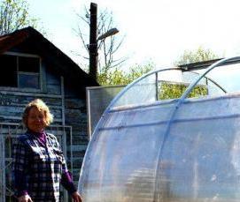 Пермские теплицы - модель 1