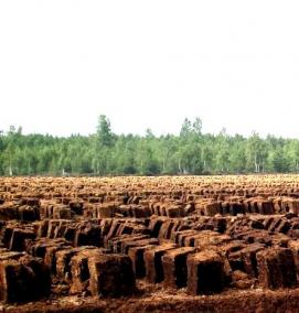 Песок 0 1 0 3 в мешках - тип 4