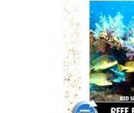 Песок 10 кг - вариант 3