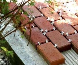 Песок для швов брусчатки - вариант 4