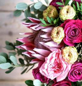 Пионовидные кустовые розы саженцы - вариант 3