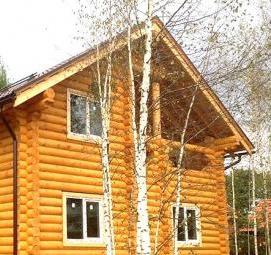 Планировка лесного участка - модель 2