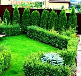 Планировка садового участка 4 сотки - вариант 3