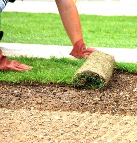 Планировка участка под газон - тип 2