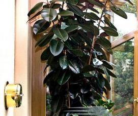 Пластиковое окно с двойным остеклением - вариант 1