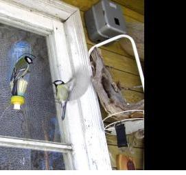 Пластиковые анкера для крепления - модель 2