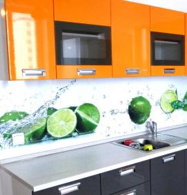 Пластиковые фартуки для кухни с фотопечатью - модель 4