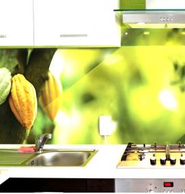 Пластиковые фартуки для кухни с фотопечатью - модель 2