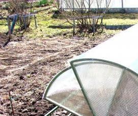 Пластиковые теплицы из стеклопакетов - вариант 1