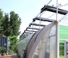 Пластиковые теплицы - модель 4