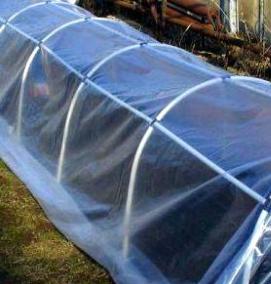 Пленка для парников и теплиц - модель 1
