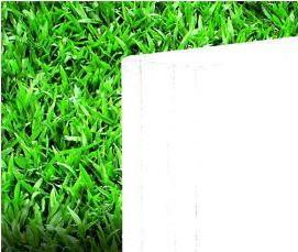 Плита гипсовая пазогребневая полнотелая - вариант 1