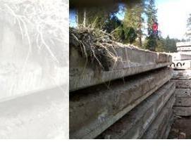 Плита перекрытия 63-12 - тип 2