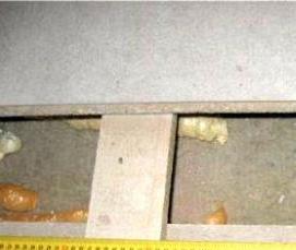 Плита перекрытия П 8-11 - тип 2