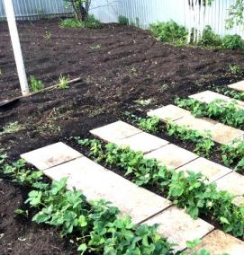 Плитка для дорожек между грядками - тип 3