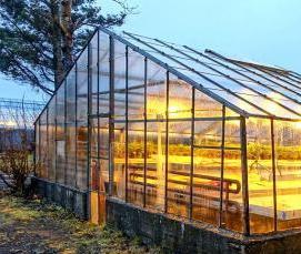 Плодовые теплицы - тип 3
