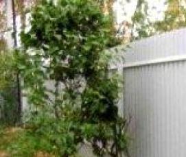 Плоский шифер под кирпич - вариант 4