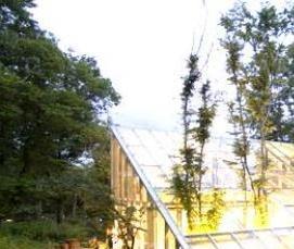 Подземная теплица - вариант 4