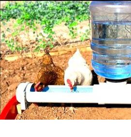 Поилка для кур под бутылку - тип 1