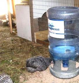Поилка для кур - тип 3