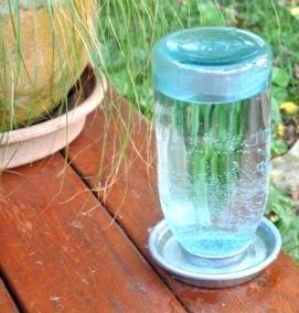 Поилка - модель 4