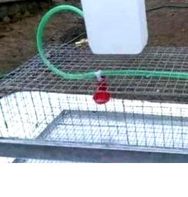 Поилки для бройлеров в клетках - модель 4
