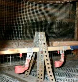 Поилки для бройлеров в клетках - модель 3