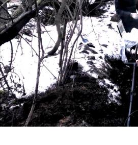 Поиск георадаром - модель 4