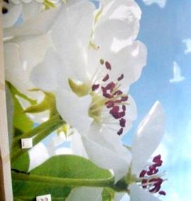 Поклейка фотообоев - вариант 3