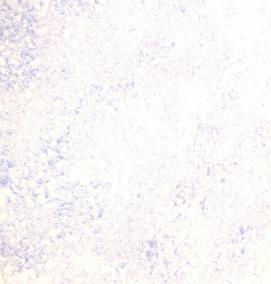 Покраска виниловых обоев на флизелиновой основе - вариант 3