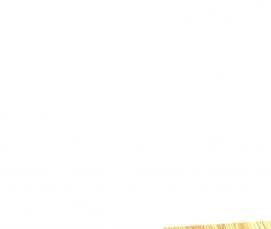 Поликарбонат монолитный прозрачный 3 мм - вариант 3