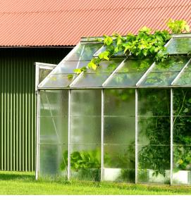 Поликарбонатные теплицы - тип 3