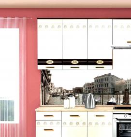 Полимерные фартуки для кухни - модель 4