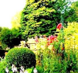 Посадка декоративных кустарников - вариант 2