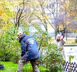 Посадка деревьев на придомовой территории - тип 3