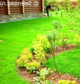 Посадка деревьев - тип 2