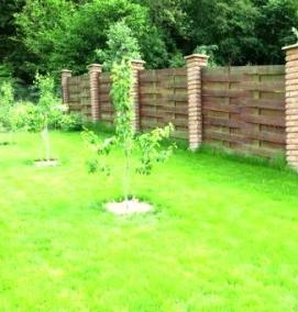 Посадка деревьев в саду - вариант 4