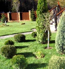 Посадка деревьев в саду - вариант 3