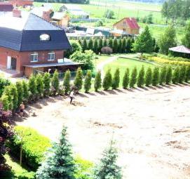 Посадка хвойных деревьев - вариант 3