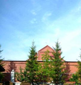 Посадка крупномерных деревьев - тип 4