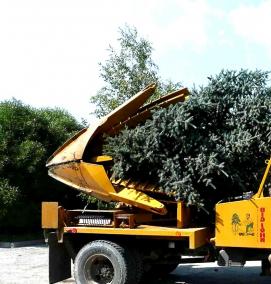 Посадка крупномерных деревьев - тип 2