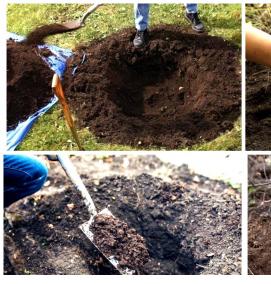 Посадка крупных деревьев - тип 3