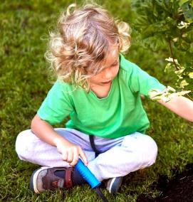 Посадка молодых деревьев - тип 4