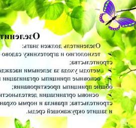 Проектирование садово-парковых объектов - тип 4