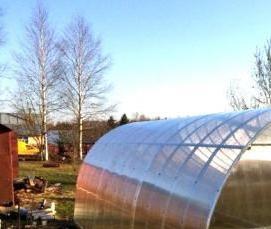 Профессиональные теплицы зимние - вариант 4