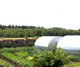 Профиль углозащитный оптима 20х20 мм 3м - модель 2