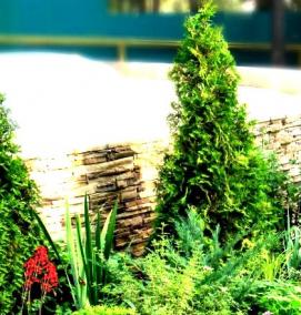 Производственное озеленение - вариант 3